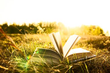 Sunset horizon ile açık kitap arka plan. Okul, eğitim fikir geri