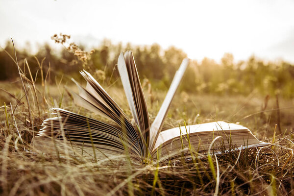 Background of open book with horizon on sunset in autumn fall field on dry grass on sun set sky and spring forest backdrop. Idea of back to school, education. empty wooden table