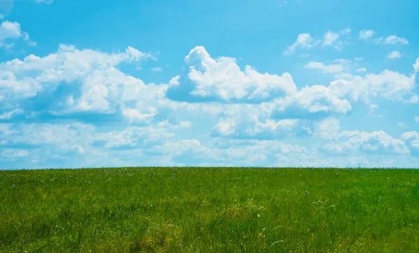 Campo Erba Verde Cielo Blu Con Nuvole Chiare Sfondo Della — Foto Stock