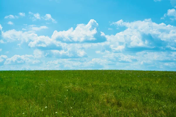 Campo Erba Verde Cielo Blu Con Nuvole Chiare Sfondo Della — Foto Stock