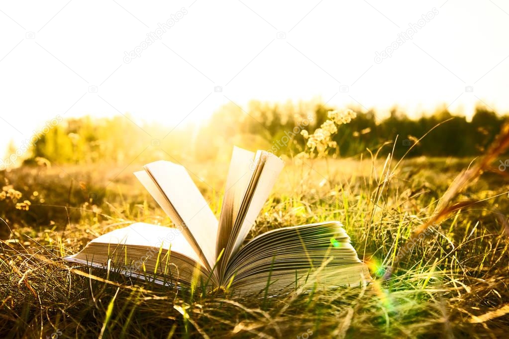 Background of open  book with horizon on sunset. Idea of back to school, education