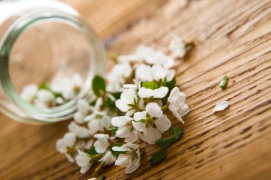 buket beyaz bahar çiçekleri ve ahşap masa arka plan şeffaf kavanoz. 