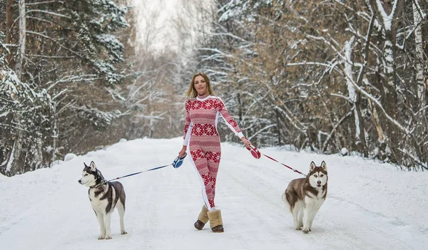 Mulher Loira Bonita Andando Floresta Inverno Parque Com Par Cães — Fotografia de Stock