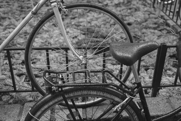 Bicicletas Sob Chuva Rua Duas Bicicletas Dia Chuvoso — Fotografia de Stock