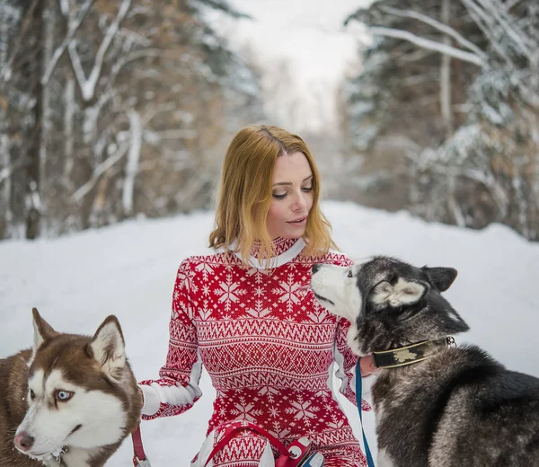 Mulher Loira Bonita Andando Floresta Inverno Parque Com Par Cães — Fotografia de Stock