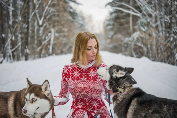 Mulher Loira Bonita Andando Floresta Inverno Parque Com Par Cães — Fotografia de Stock