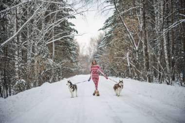 kış orman veya park redaksiyon ikinci direktörü Haski'nin köpekler birkaç ile yürüyen sarışın kadın. kış sezonu. 