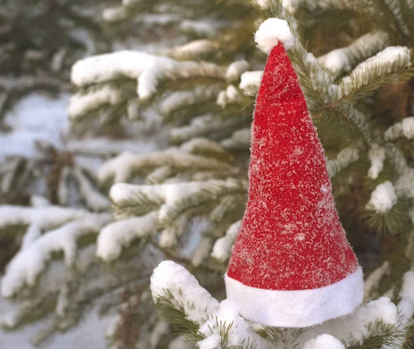 Πρωτοχρονιά Και Χριστουγεννιάτικη Διακόσμηση Γιορτινό Φόντο Διακοσμητικά Τεχνητά Κλαδιά Καλυμμένα — Φωτογραφία Αρχείου
