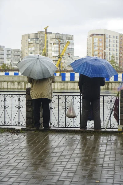 Hommes Pêchent Ensemble Sous Pluie Bord Lac Sous Des Parasols — Photo