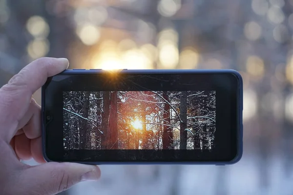 Smartphone Mão Masculina Floresta Inverno Dia Inverno Ensolarado Tira Uma — Fotografia de Stock