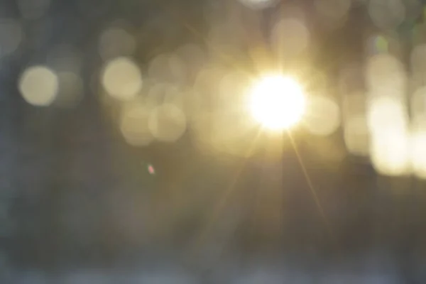 Homályos Természet Háttér Homályos Erdő Télen Naplementekor — Stock Fotó