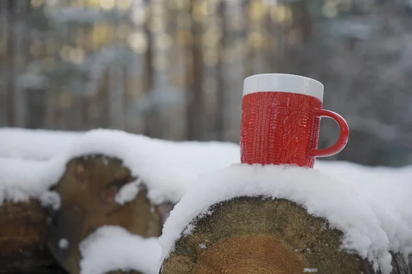 Jeden Czerwony Kubek Stojący Pniu Drzewa Pokryty Świeżym Śniegiem Czas — Zdjęcie stockowe