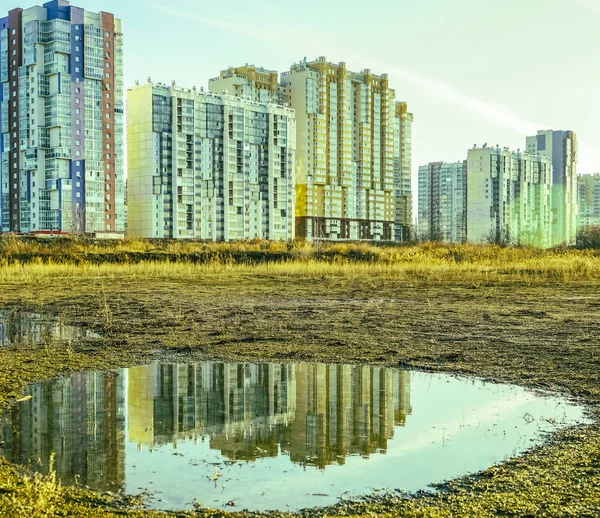 Puddle Park City Morning Grass Fell Water High Rise Modern — Stock Photo, Image