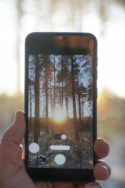 smartphone in male hand in the winter forest. sunny winter day. take photo. Man hand holding mobile smart phone , tablet,cellphone over Blur of snowy forest, Winter landscape. vertical format