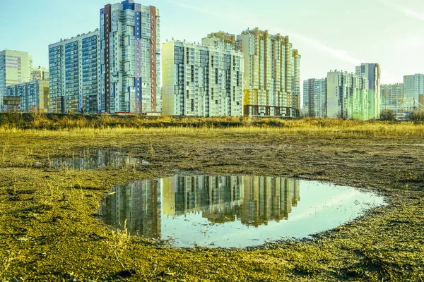 Лужа Парке Городе Утром Трава Упала Воду Высотные Современные Здания — стоковое фото