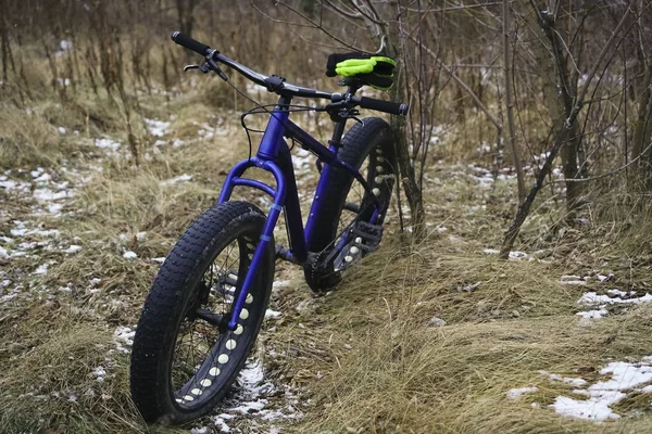 눈덮인 속에서 외로운 자전거 타이어 — 스톡 사진