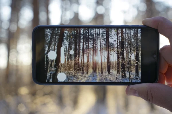 Smartphone Mão Masculina Floresta Inverno Dia Inverno Ensolarado Tira Uma — Fotografia de Stock