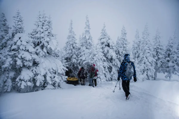 Молоді Люди Катаються Снігоступах Снігохід Прискорюється Засніжених Лісових Деревах Вид — стокове фото