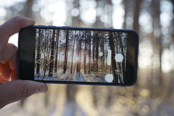 Smartphone Mão Masculina Floresta Inverno Dia Inverno Ensolarado Tira Uma — Fotografia de Stock