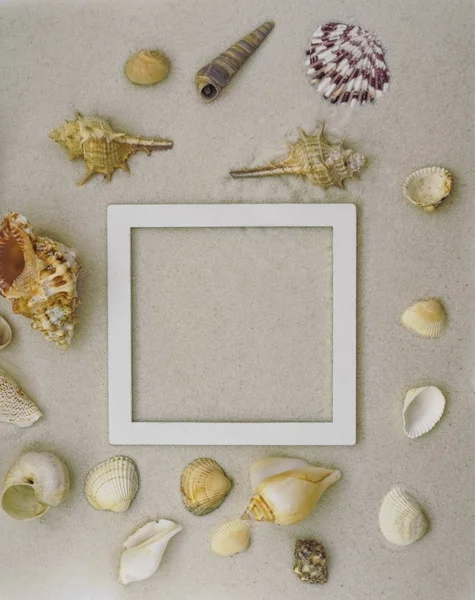 Seashells Com Moldura Madeira Vazia Areia Praia Fundo — Fotografia de Stock