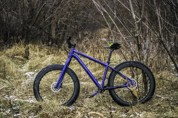 Lonely Blue Bicycle Standing Tree Snowy Forest Background Wide Tires — ストック写真