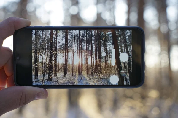 Smartphone Mão Masculina Floresta Inverno Dia Inverno Ensolarado Tira Uma — Fotografia de Stock