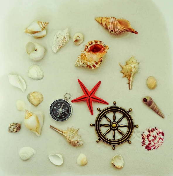 Muitos Seashells Textura Papel — Fotografia de Stock