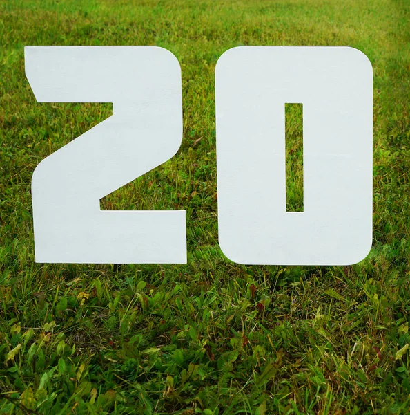 Dvacet Dvacet Číslic Zeleném Travnatém Pozadí Šťastný Nový Rok — Stock fotografie