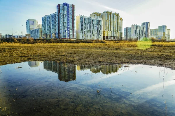 Een Plas Een Park Stad Ochtend Gras Viel Het Water — Stockfoto