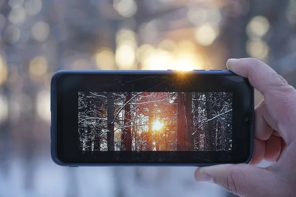 Smartphone Männlicher Hand Winterwald Sonniger Wintertag — Stockfoto