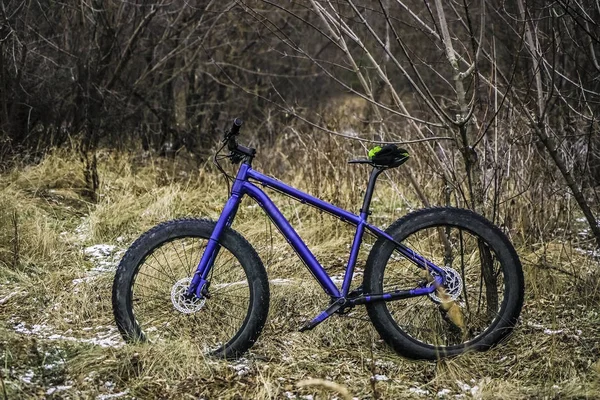 雪の森の背景の木の近くに立っている孤独な青い自転車 ワイドタイヤ — ストック写真