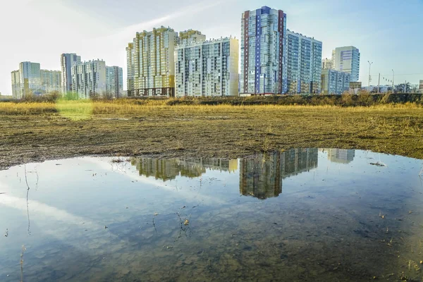 Een Plas Een Park Stad Ochtend Gras Viel Het Water — Stockfoto