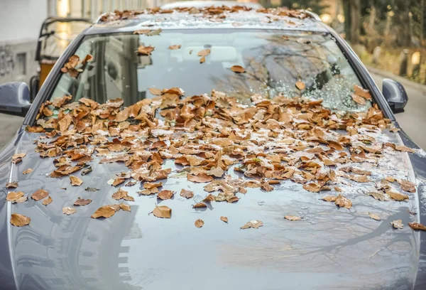 Car hood and glass with yellow  leaves and ice and ground with leaves and snow in the background. car windshield covered with snow and fallen autumn leaves. winter time season.