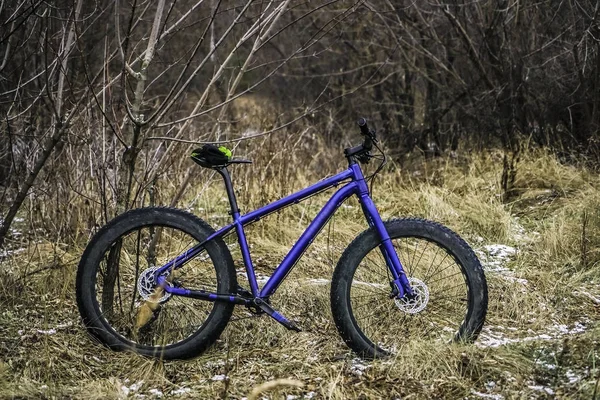 눈덮인 속에서 외로운 자전거 타이어 — 스톡 사진