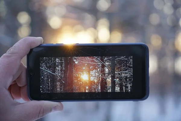 Smartphone Männlicher Hand Winterwald Sonniger Wintertag — Stockfoto