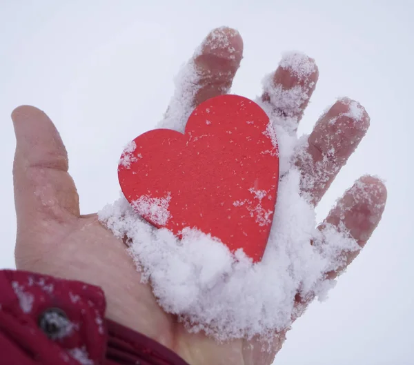 Hombre Sosteniendo Corazón Rojo Madera Mano Sobre Fondo Deriva Nieve —  Fotos de Stock