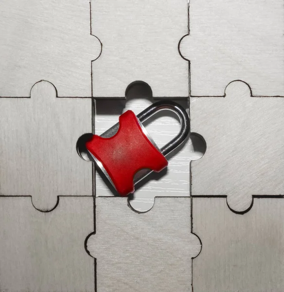 lock  inside jigsaw puzzle. business security concept.