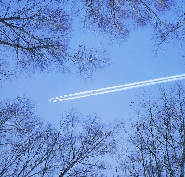 Mavi Gökyüzü Arka Planında Beyaz Olan Uçak Kış Mevsimi — Stok fotoğraf