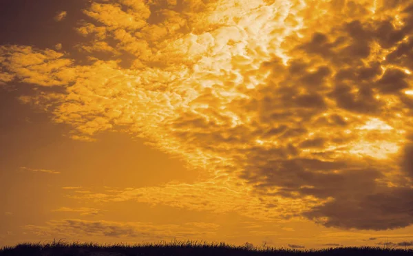 Incrível Paisagem Verão Pôr Sol Nuvens Fofas Luz Dourada Acima — Fotografia de Stock