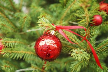 Yılbaşı için Noel ağacı oyuncağı.