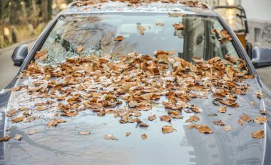 Araba kaputu ve cam kaplı sarı yapraklar ve buz ve zeminde yapraklar ve kar var. Arabanın ön camı kar ve düşen sonbahar yapraklarıyla kaplı. Kış mevsimi. 