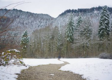  Kar, çam ormanında kış dağ yolunu ayak izleriyle kapladı. Alpsee, Bavyera, Almanya.