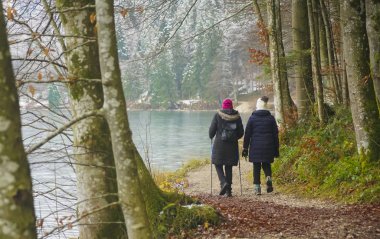 Kış gölü boyunca yürüyen iki kadın - Alpsee, Bavyera, Almanya. Dikiz aynası. Soğuk göl kenarında yürüyen iki kişinin arkası. Kışın soğuk hava yürüyüşü.