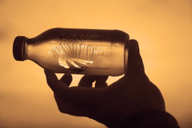 Adam arka planda gökyüzü etiketi olmadan cam şişeyi elinde tutuyor.. 