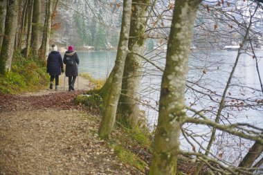 Kış gölü boyunca yürüyen iki kadın - Alpsee, Bavyera, Almanya. Dikiz aynası. Soğuk göl kenarında yürüyen iki kişinin arkası. Kışın soğuk hava yürüyüşü.