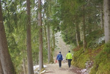 Kış Gölü boyunca huzurlu bir yolda yürüyen bir çiftin arka görüntüsü. Erkek ve kadın çift güneşli sabahlarda yürüyorlar. Kış mevsimi.  