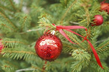 Yılbaşı için Noel ağacı oyuncağı.