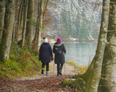 Kış gölü boyunca yürüyen iki kadın - Alpsee, Bavyera, Almanya. Dikiz aynası. Soğuk göl kenarında yürüyen iki kişinin arkası. Kışın soğuk hava yürüyüşü.
