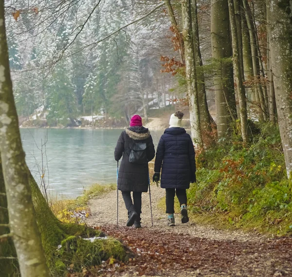 two women walking along winter lake - Alpsee, Bavaria, Germany.  rear view. Back of 2 persons walking near cold lake. Cold weather hike in winter.