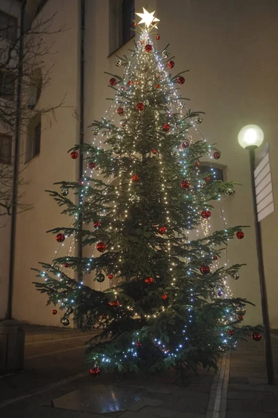 Weihnachtsbaumspielzeug Weihnachtsbaum Mit Lichtern Geschmückte Weihnachtsbäume Stehen Auf Einer Straße — Stockfoto